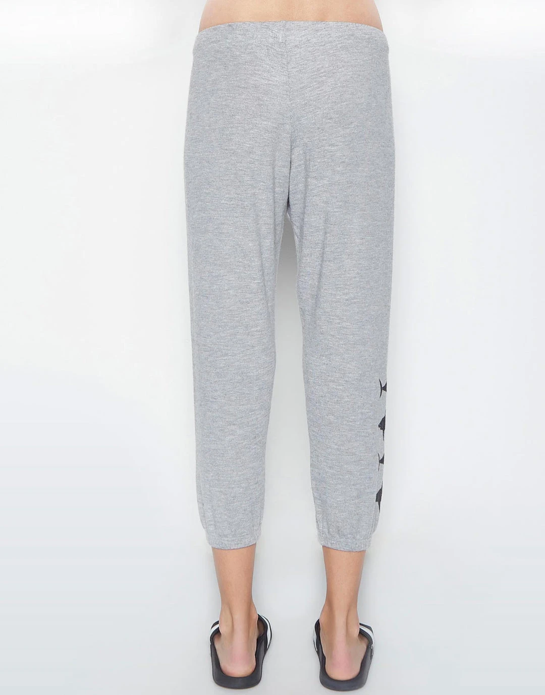 Lauren Moshi Alana Shark